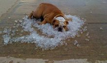 小学生作文点评 第二集