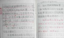 右舍的李某作文450字