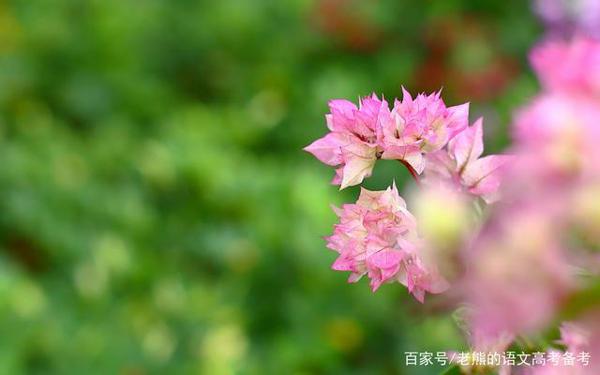 高考作文辅导60:文化无定格,贵在鲜活(争议性时评写作) 2