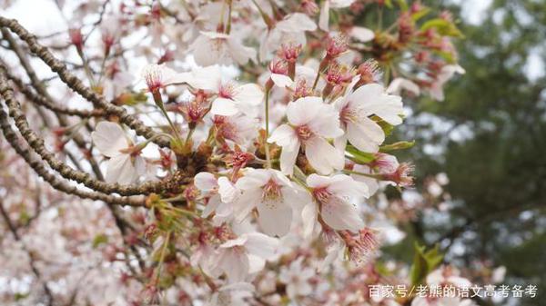 高考作文辅导61:深圳这道作文题命得不一般