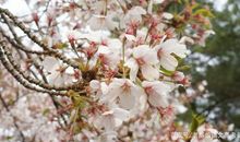 高考作文辅导61：深圳这道作文题命得不一般