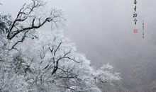 初雪散文一篇：观雪随感