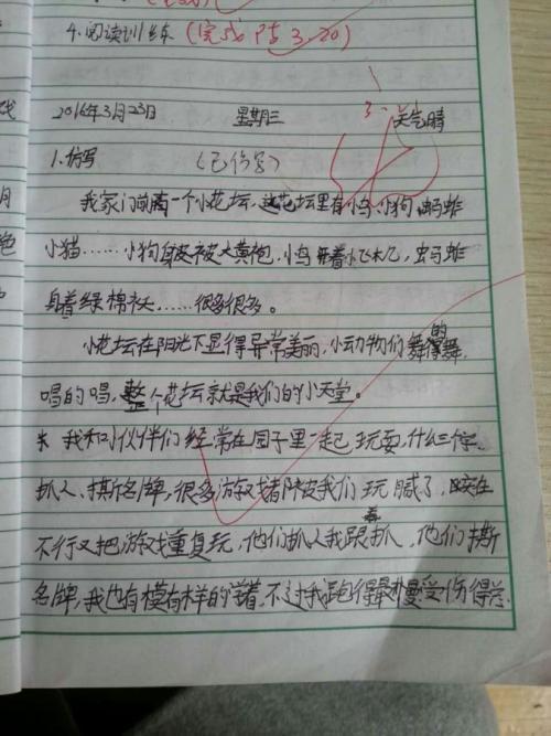写菜园的作文