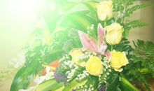 小学生叙事作文：生活中的温暖