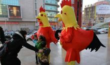 小学生作文｜大公鸡和小黑狗