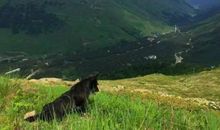 当凹地变成高山作文