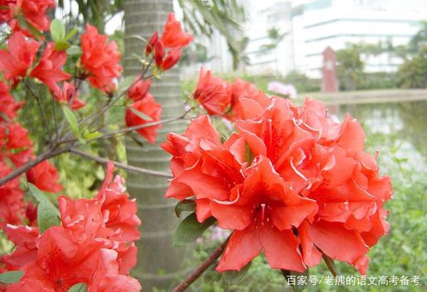 高考作文辅导60:文化无定格,贵在鲜活(争议性时评写作)