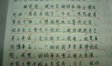 语文，想说爱你不容易初中作文