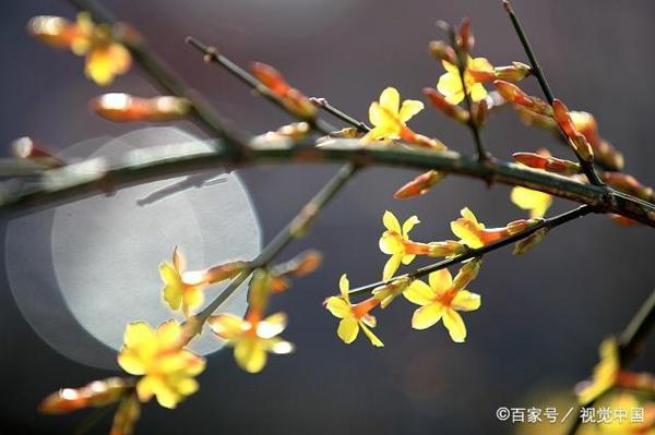 和孩子一起写作文:写景,除了写作结构,更重要的是这种修辞手法 2