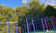 作文打假，从一年级开始