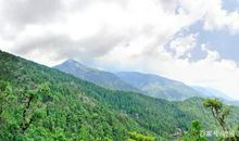 中学生优秀作文：《一滴水经过东江》，荡漾在青山花叶间