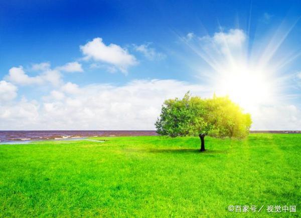 和孩子一起写作文:写景,除了写作结构,更重要的是这种修辞手法 3