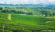 初二作文：二分之一的姿态