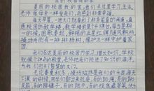 原创学生作文：《美丽的田园》