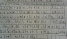初一话题作文：陪伴_500字