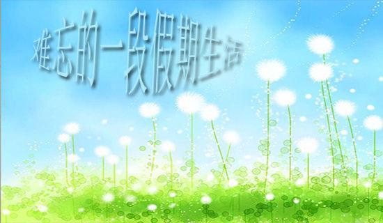 学生假期实践心得体会