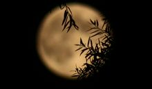 原创 同题作文比较阅读：《心中一片月》（一）