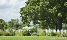 初三优秀作文：我读懂了你