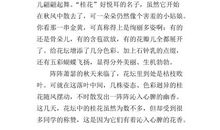 小学观察作文范文20篇