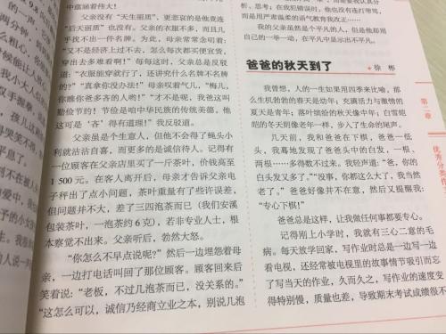 关于路的初中作文