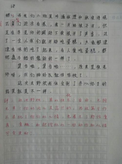 小学三年级有趣的野炊作文200字5篇