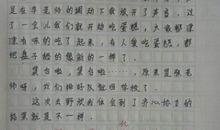 小学三年级有趣的野炊作文200字5篇
