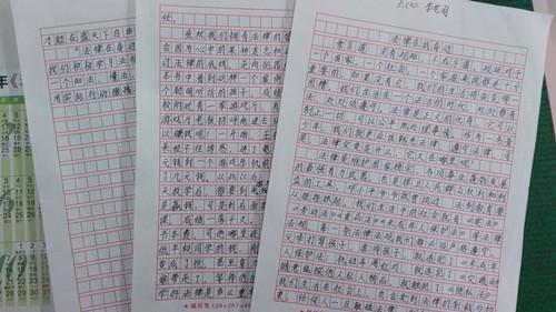 关于法律的作文