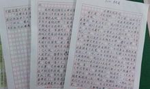 关于法律的作文