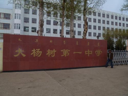 童年的杨树叶 童年的记忆800字作文