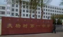 童年的杨树叶 童年的记忆800字作文