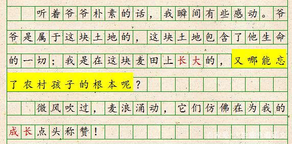 初中语文,扣住时代主题站到立意制高点,厚重大气的作文更受青睐 6