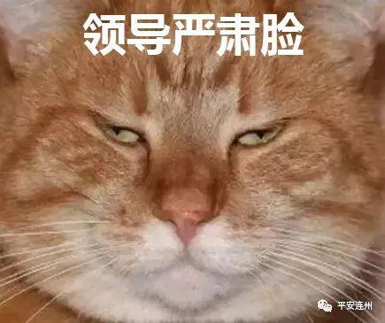 就在昨天！连州交警，为群众写了两篇满分作文 2