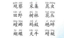 一年级识字教案