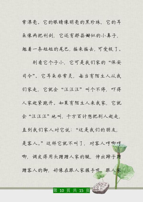 董卿力荐:孩子作文上不去,这份范文集锦贴墙上背,次次考满分! 9