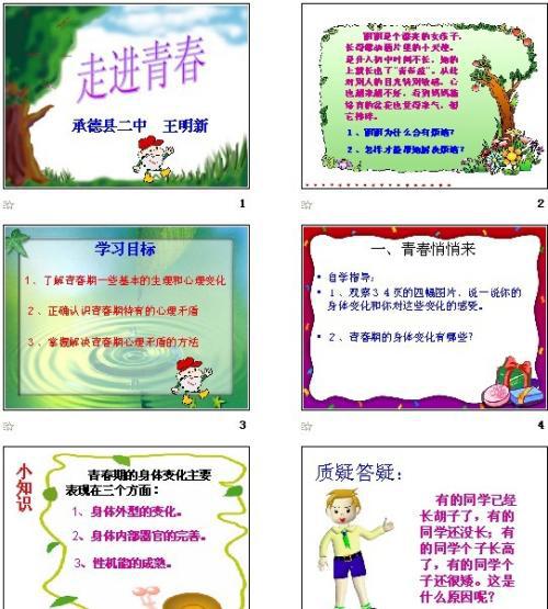 第四课《欢快的青春节拍》第二框感悟青春优秀教案