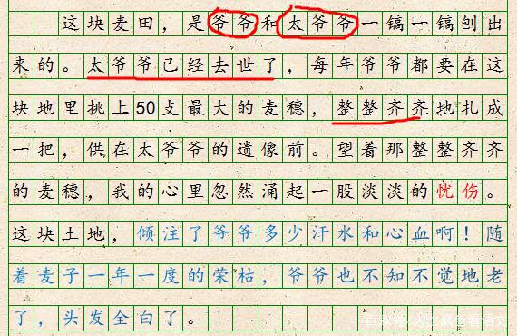 初中语文,扣住时代主题站到立意制高点,厚重大气的作文更受青睐 4