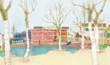 有哪些小众的人物素材让你在作文中“屡试不爽”？