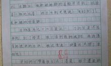 小姨来访 我家的客人作文300字