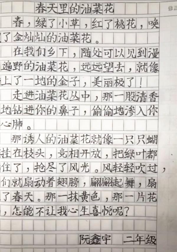 小学生写的作文“火”了,字体工整,文笔了得,老师也自愧不如 1