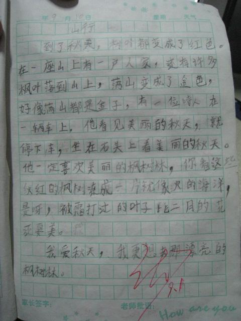 难忘的小学生活 六年级我的小学生活作文300字