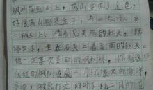 难忘的小学生活 六年级我的小学生活作文300字