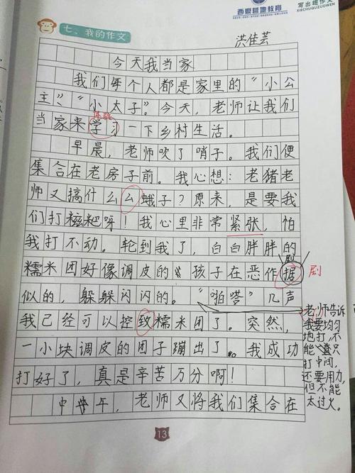 今天我当家记叙作文