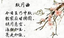 藏在大脑里作文450字