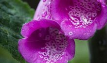 作文：得失之间，见证人生智慧