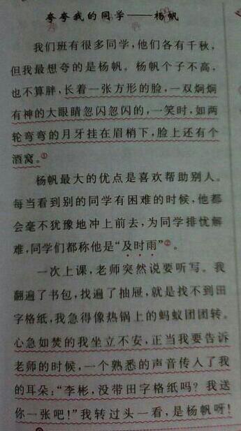 我的小伙伴作文范文350字