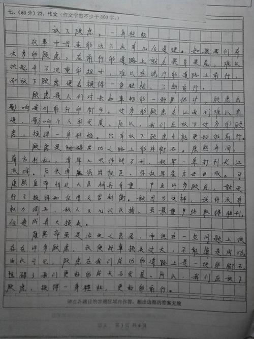 2011年湖南高考作文优秀作文赏析(2)_800字