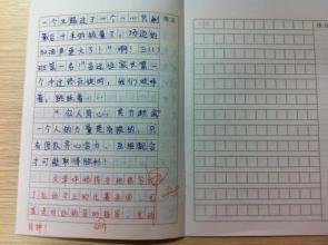 学校小型运动会之乱想 运动会感想作文900字