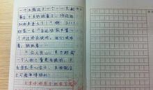 学校小型运动会之乱想 运动会感想作文900字