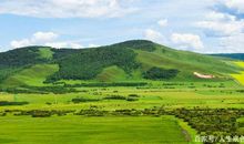 中考记叙文，让精彩的语言描写，为你的作文加分！