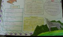 狼王梦优秀读书笔记